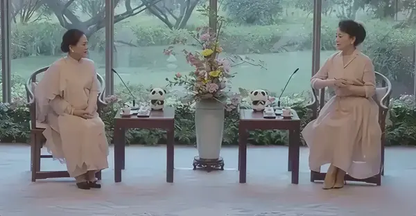 彭丽媛会见印尼总统夫人